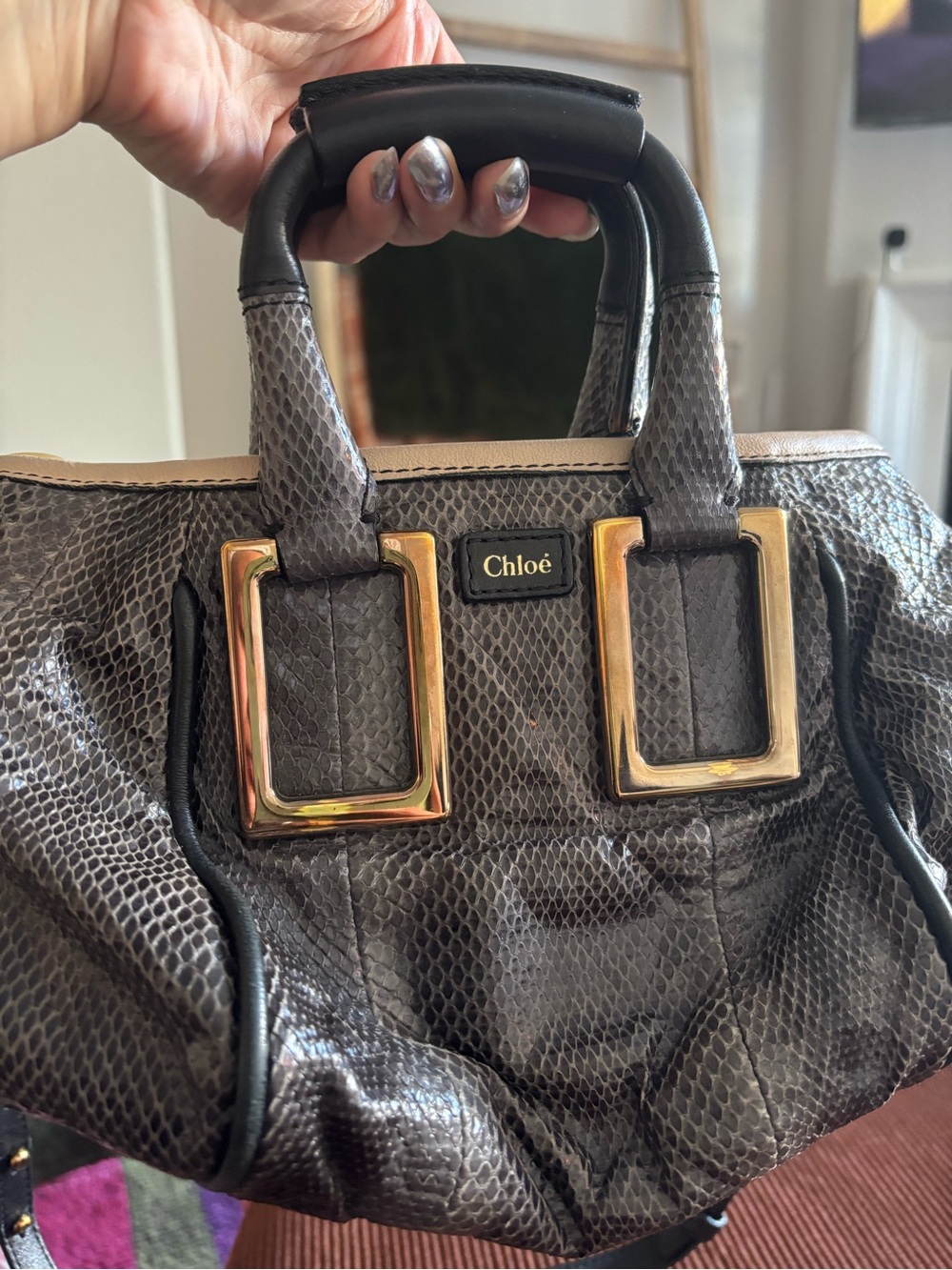 Chloé vintage python purse - 💯 authentic. Bought at NUIR vintage in Tokyo